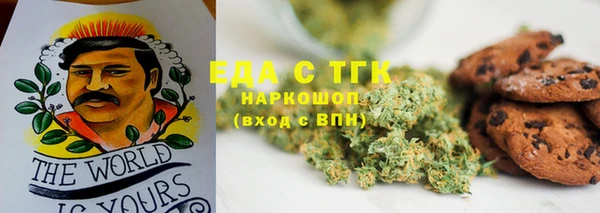 хмурый Алексин