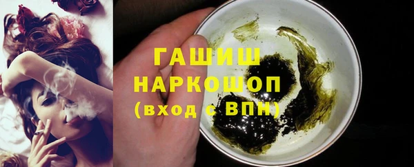 хмурый Алексин