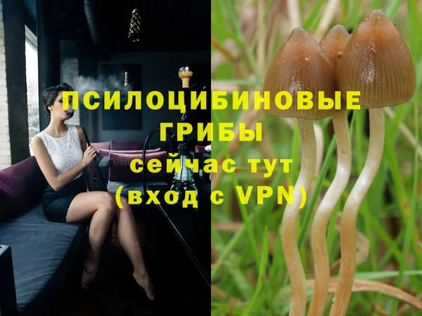 хмурый Алексин