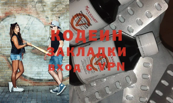 хмурый Алексин
