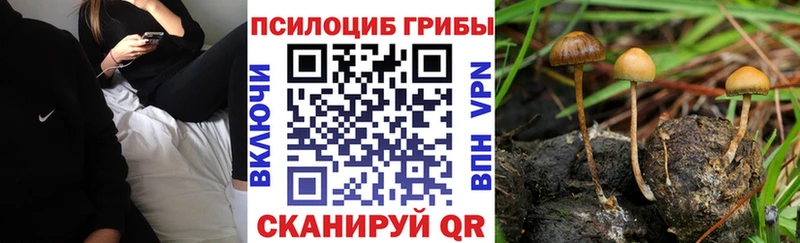 mega ONION  Данилов  Галлюциногенные грибы Magic Shrooms 